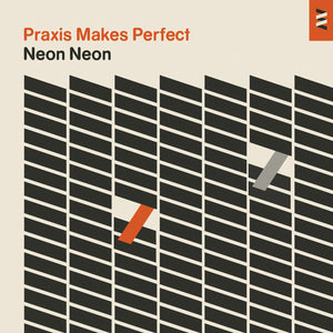 Praxis Makes Perfect - Vinyl